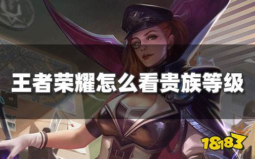 王者荣耀怎么看贵族等级
