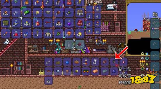 泰拉瑞亚幌菊怎么种植 幌菊种植方法分享