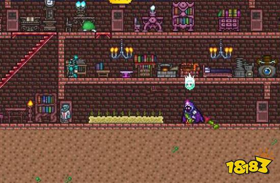 泰拉瑞亚幌菊怎么种植 幌菊种植方法分享