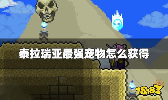 泰拉瑞亚最强宠物怎么获得 最强宠物获得方法及排名