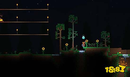 泰拉瑞亚极易饰品怎么得 极易饰品获得方法介绍