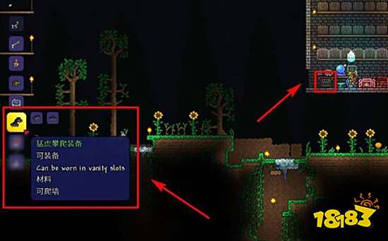 泰拉瑞亚极易饰品怎么得 极易饰品获得方法介绍