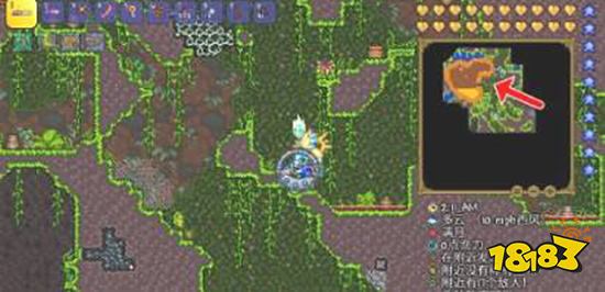 泰拉瑞亚养蜂人怎么得 养蜂人获得方法介绍