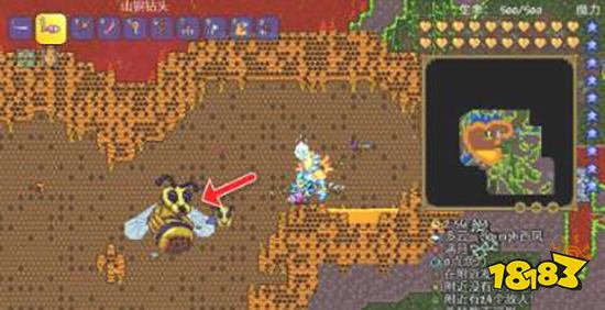 泰拉瑞亚养蜂人怎么得 养蜂人获得方法介绍