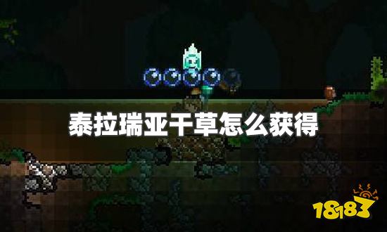 泰拉瑞亚干草怎么获得 干草获得方法介绍