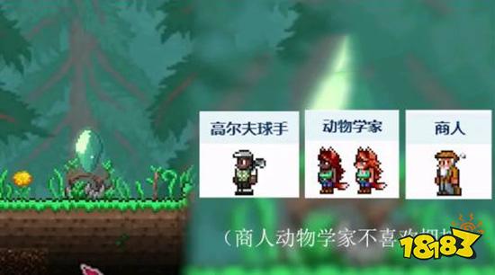 泰拉瑞亞九種傳送水晶對應哪幾個npc 傳送水晶對應npc大全