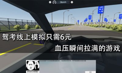 駕考線上模擬只需6元 血壓瞬間拉滿的游戲