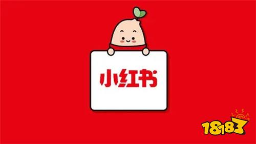 下载小红书最新版