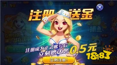 456手游盒子下载