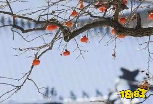 1月有什么节日和纪念日 盘点2022年1月的节日和纪念日