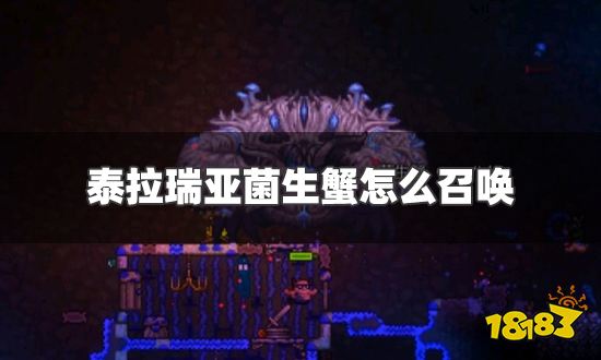 泰拉瑞亚菌生蟹怎么召唤 菌生蟹召唤物合成及召唤方法