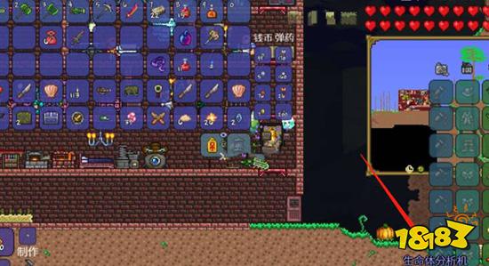 泰拉瑞亚宁芙怎么刷 宁芙具体刷新位置一览