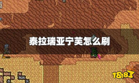 泰拉瑞亚宁芙怎么刷 宁芙具体刷新位置一览