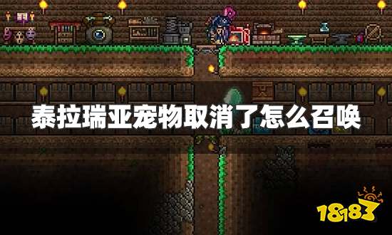 泰拉瑞亚宠物取消了怎么召唤 宠物取消召唤方法分享