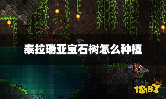 泰拉瑞亚宝石树怎么种植 宝石树种植条件详解