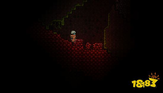 泰拉瑞亚宝石树生长条件是什么 宝石树生长条件介绍