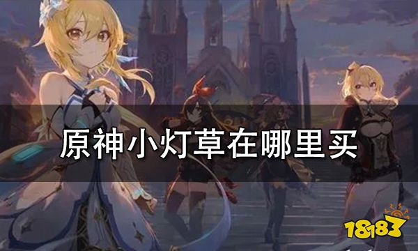原神小灯草在哪里买 小灯草哪里有卖