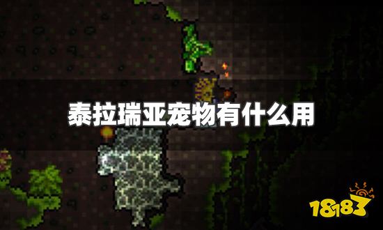 泰拉瑞亚宠物有什么用 宠物详细作用介绍