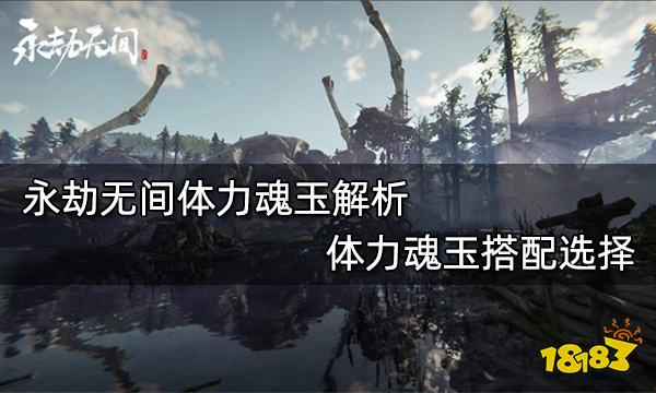 永劫无间体力魂玉解析 体力魂玉搭配选择