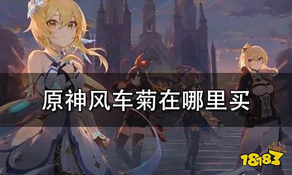 原神风车菊在哪里买 风车菊哪里有卖