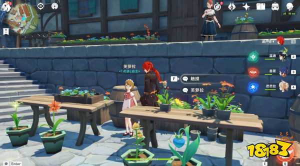 原神塞西莉亚花采集地点 塞西莉亚花在哪里采集