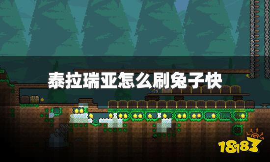 泰拉瑞亚怎么刷兔子快 快速刷兔子方法介绍