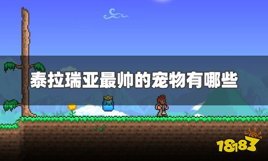 泰拉瑞亚最帅的宠物有哪些 最帅的宠物获取方式及召唤物
