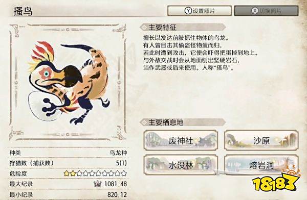 怪物猎人崛起搔鸟弱点介绍 搔鸟肉质及属性一览