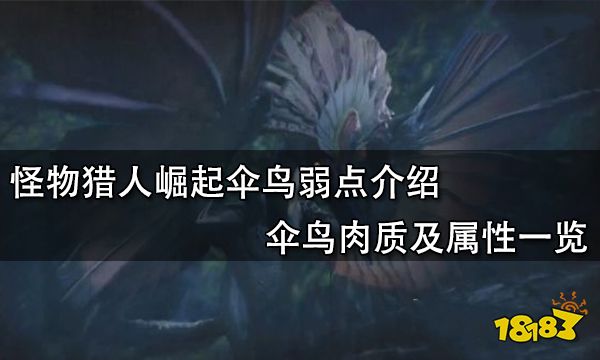 怪物猎人崛起伞鸟弱点介绍 伞鸟肉质及属性一览
