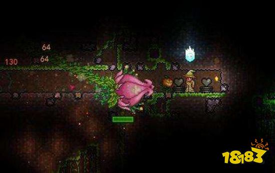 泰拉瑞亚打世纪之花要什么装备 打世纪之花装备推荐