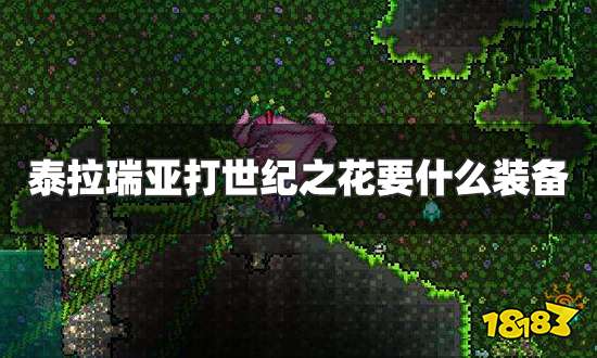 泰拉瑞亚打世纪之花要什么装备 打世纪之花装备推荐