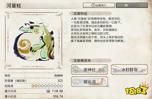 怪物猎人崛起河童蛙弱点介绍 河童蛙肉质及属性一览