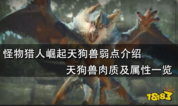 怪物猎人崛起天狗兽弱点介绍 天狗兽肉质及属性一览