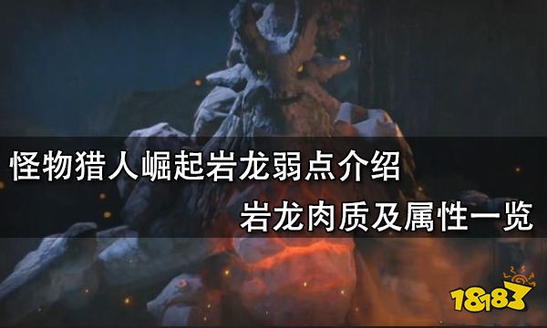 怪物猎人崛起岩龙弱点介绍 岩龙肉质及属性一览