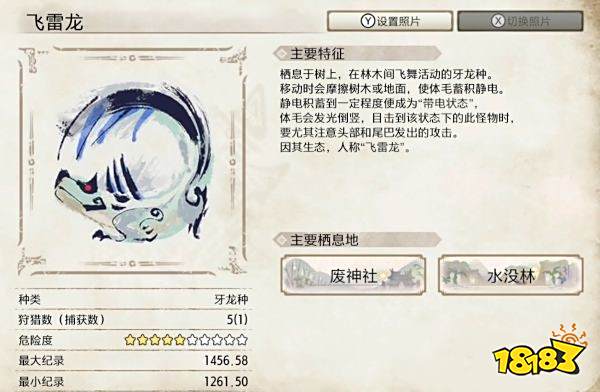 怪物猎人崛起飞雷龙弱点介绍 飞雷龙肉质及属性一览