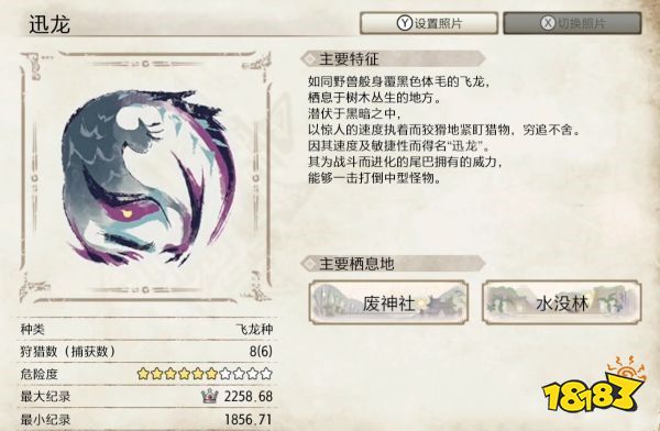 怪物猎人崛起迅龙弱点介绍 迅龙肉质及属性一览