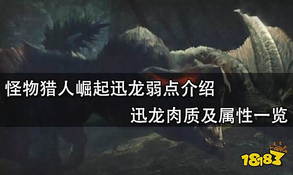 怪物猎人崛起迅龙弱点介绍 迅龙肉质及属性一览