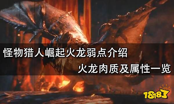 怪物猎人崛起火龙弱点介绍 火龙肉质及属性一览