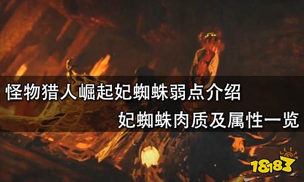 怪物猎人崛起妃蜘蛛弱点介绍 妃蜘蛛肉质及属性一览