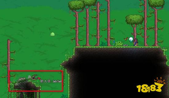 泰拉瑞亚藤蔓怎么获得 藤蔓获得方法详解