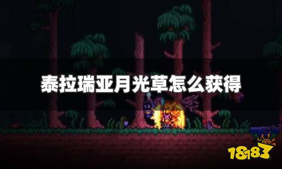 泰拉瑞亚月光草怎么获得 月光草快速获得方法
