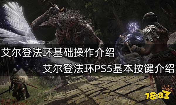 艾尔登法环基础操作介绍 艾尔登法环PS5基本按键介绍