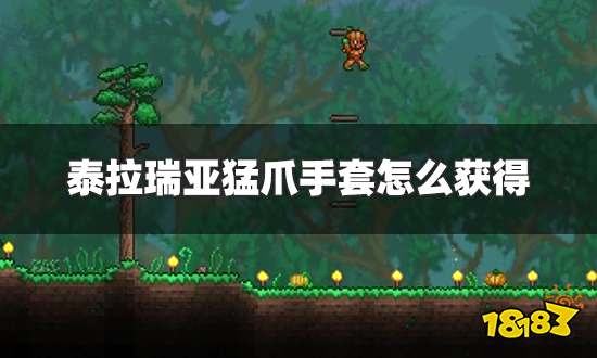 泰拉瑞亚猛爪手套怎么获得 猛爪手套获得方法详解
