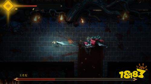 暖雪近战玩什么流派好 近战热门流派推荐