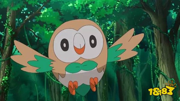宝可梦传说阿尔宙斯木木枭入选原因木木枭为什么能入选御三家