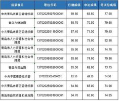 2022山东省考青岛进面成绩前十排名一览表