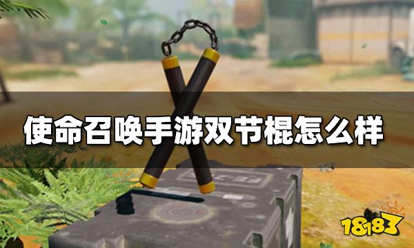 使命召唤手游双节棍怎么样 跑刀玩法通用搭配推荐
