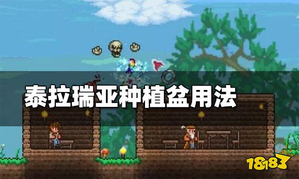 泰拉瑞亚种植盆如何获得 泰拉瑞亚种植盆用法