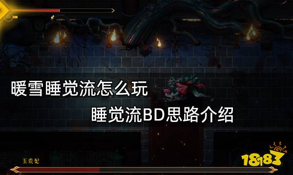 暖雪睡觉流怎么玩 睡觉流BD思路介绍