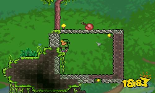 泰拉瑞亚如何获取高级鱼饵 泰拉瑞亚高级鱼饵怎么得